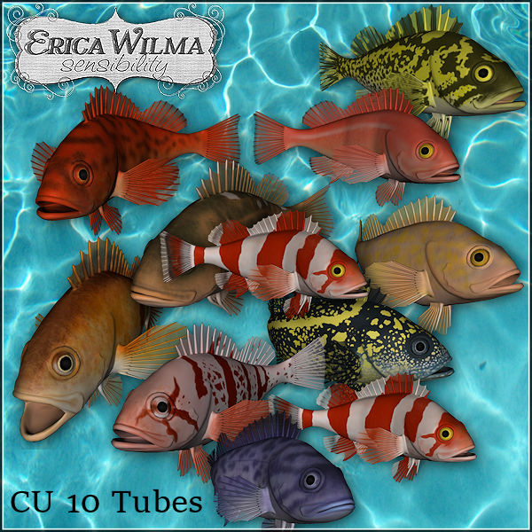 (image for) EW Fish CU